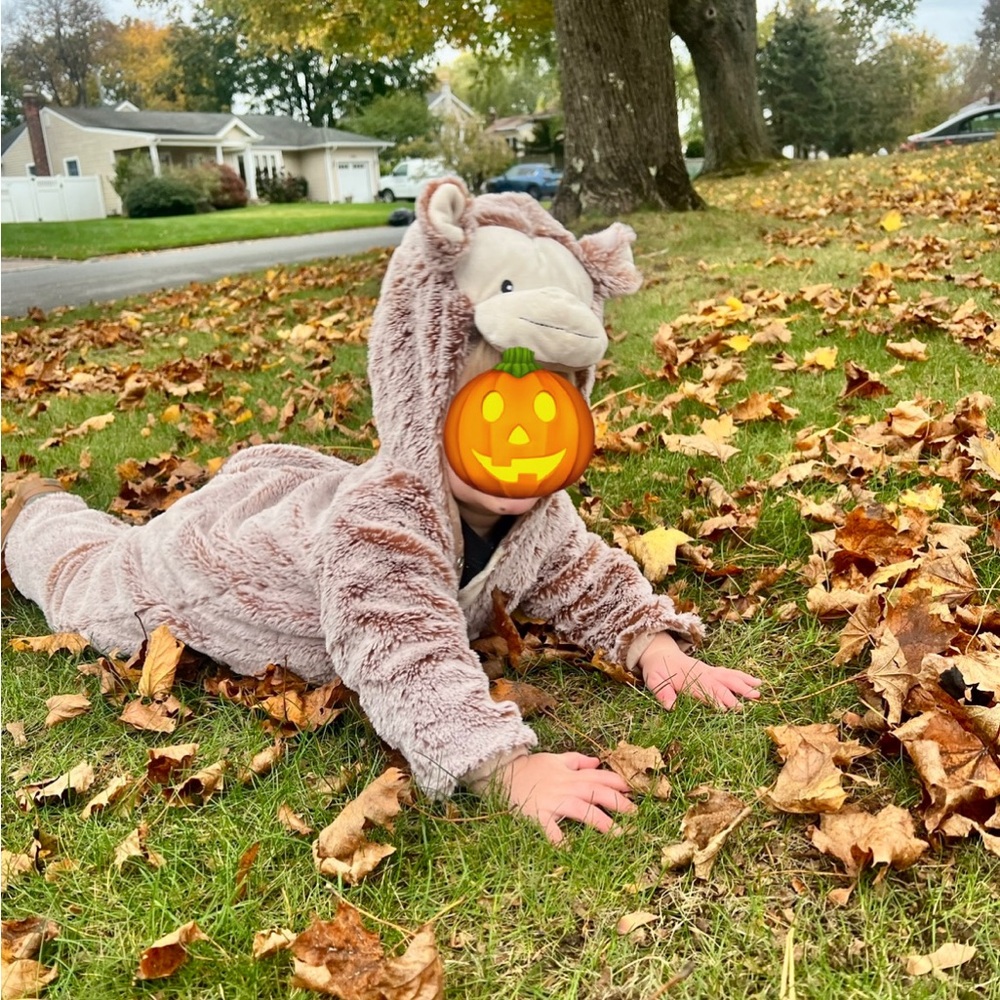 Pottery Barn Monkey Costume 12-24 months size
